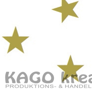 Fotokarton mit Sternen 300g/m², 50x70cm 10 Bogen, weiß/gold